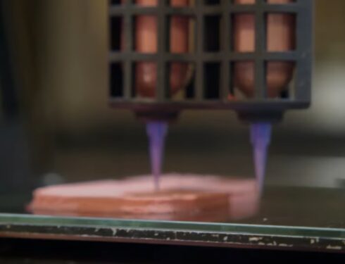 3D-printed steak